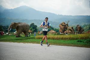 BIB: 
                            <button type="button" onclick="openModal(22436053)" class="btn btn-primary btn-sm float-right btn-popup" data-toggle="modal" data-target=".modal-high-quality">
                        <i class="fas fa-shopping-cart"></i> Add to Cart
                    </button>
                                            <button type="button" onclick="isThisMe(22436053, true)" class="btn btn-success btn-sm float-right btn-popup btn-isme hidden" data-toggle="tooltip" data-placement="bottom" title="นี่คือรูปของคุณใช่ไหม คลิกที่นี่เพื่อเอาเข้าอัลบั้ม">
                        <i class="fas fa-plus"></i> Add to album
                    </button>
                    <button type="button" onclick="isThisMe(22436053, false)" class="btn btn-warning btn-sm float-right btn-popup btn-isnotme hidden">
                        <i class="fas fa-ban"></i> Remove from album
                    </button>